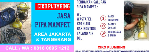jasa saluran mampet